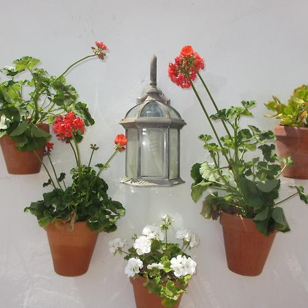 Junto A La Casa Natal De Picasso Apartment Malaga Ngoại thất bức ảnh