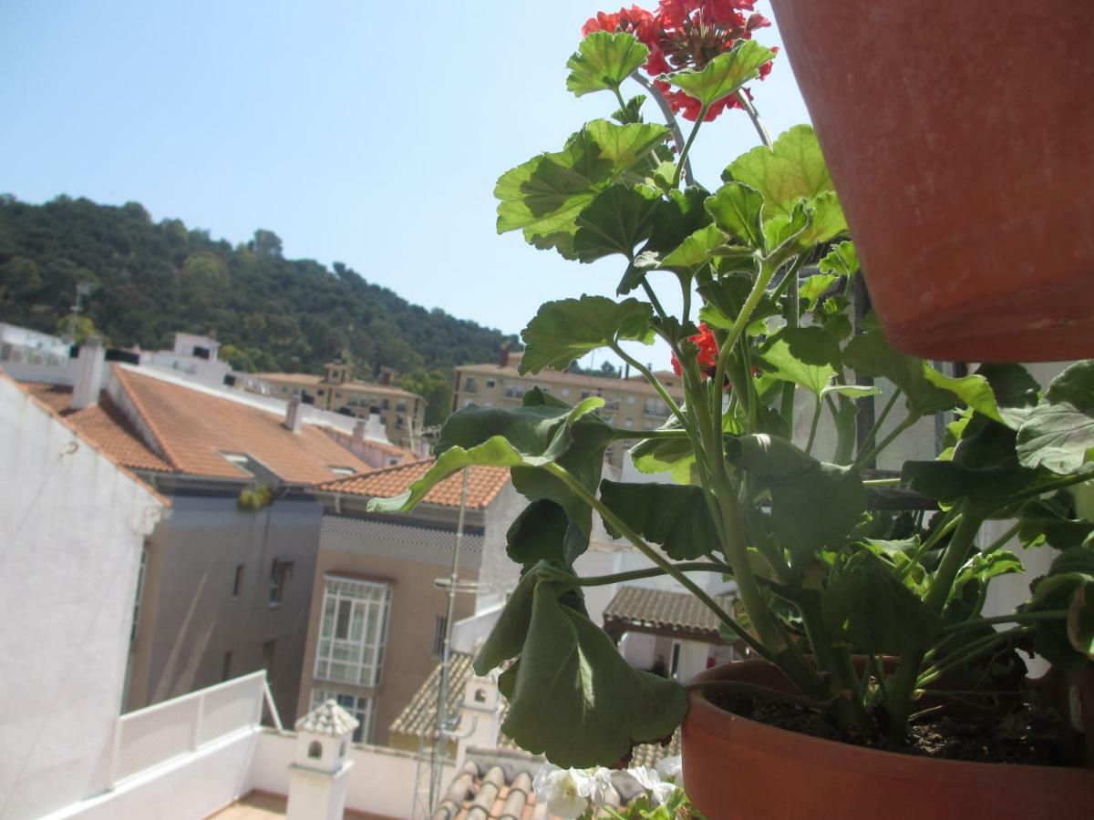 Junto A La Casa Natal De Picasso Apartment Malaga Ngoại thất bức ảnh